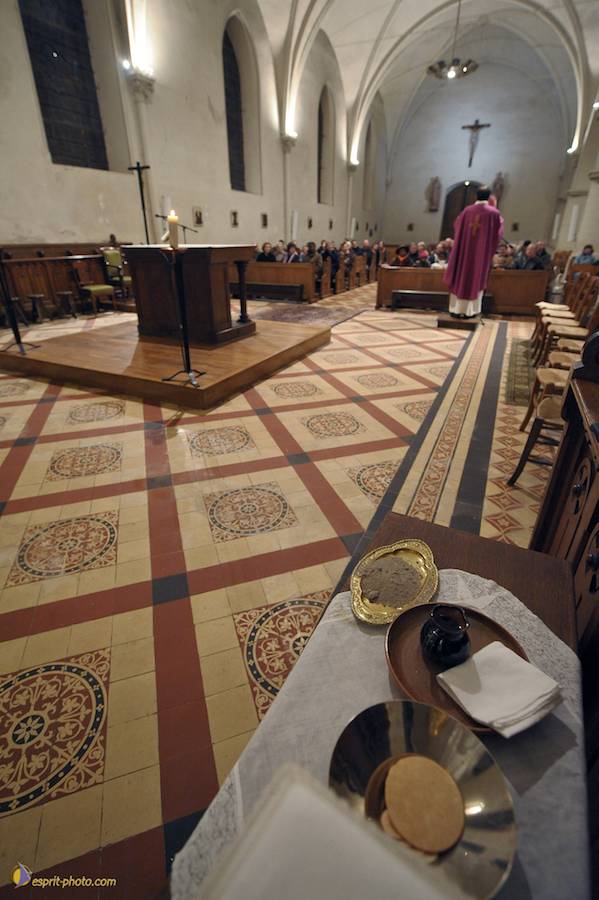 Nom de l'image : D30045810_1_(c)Norbert-JUNG — Description :